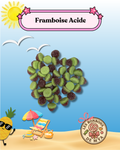 FRAMBOISE Acidulée