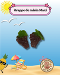 GRAPPE DE RAISIN MAXI